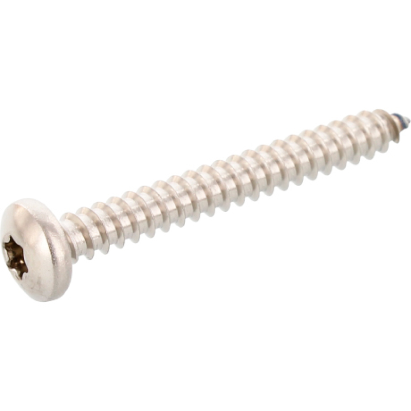 Linsenkopf Blechschrauben Torx Inox A2 DIN 7981